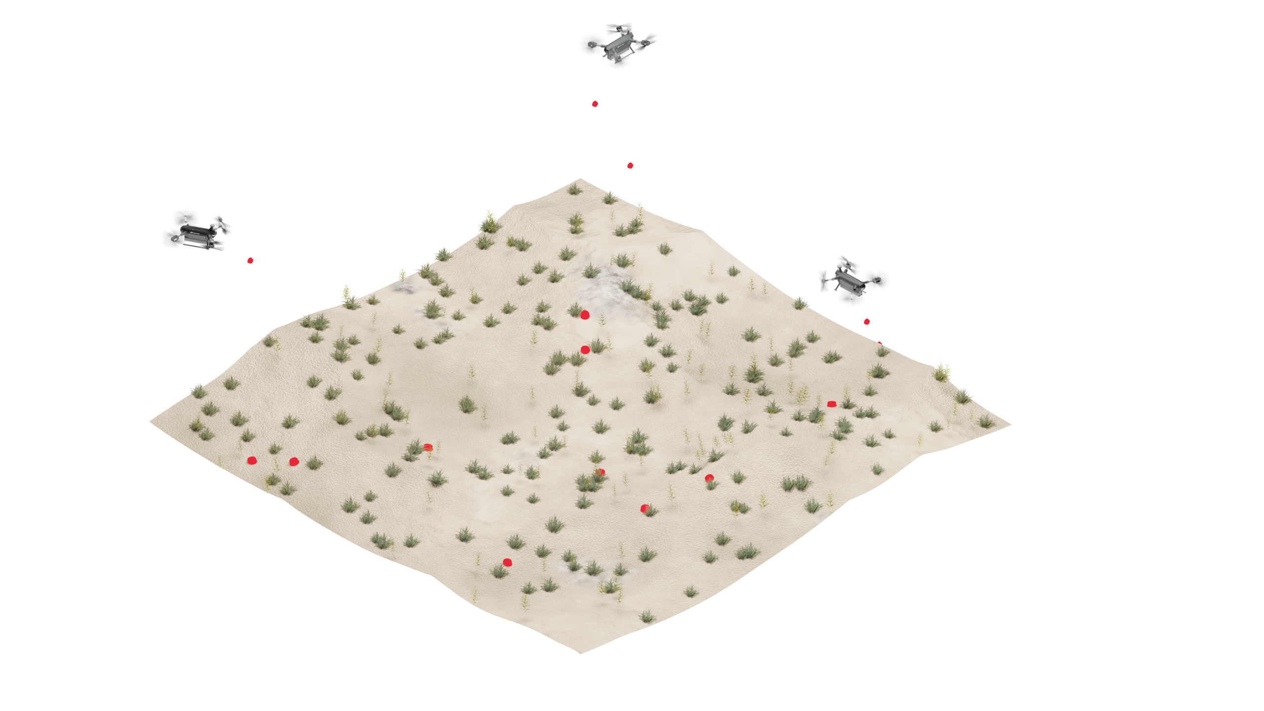 Terrain